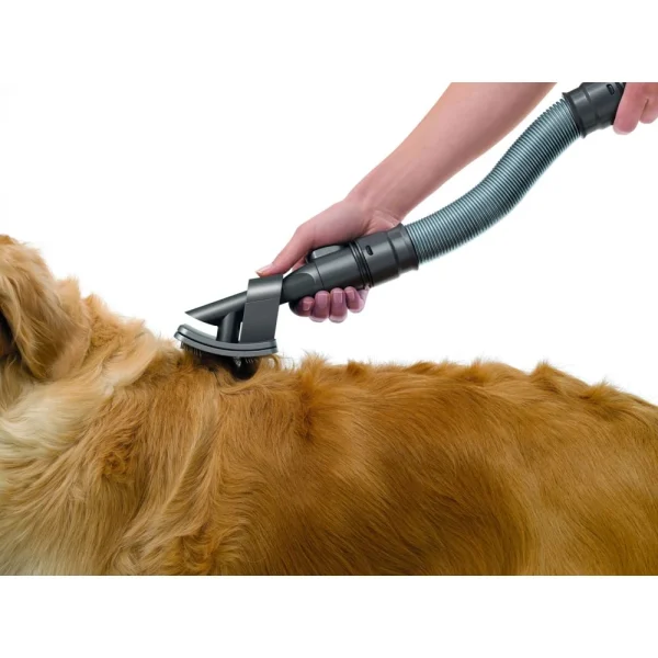Meilleur Prix Dyson Brosse Pour Chien GROOM 1